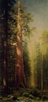 Bierstadt trees.jpg