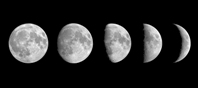 Lunar phases.jpg
