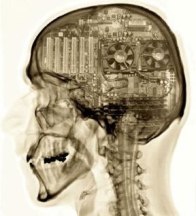 Mammalian-brain-computer-inside.jpg