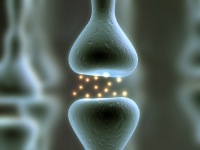 Synapse2.jpg