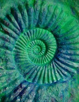 Ammonite Fossil Concrete Stamp.jpg