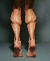 Calf-muscle-exercises.jpg