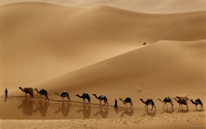 Camel-Caravan-Libya.jpg