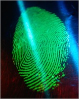 Fingerprint2b.jpg