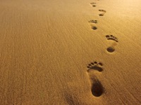 Footprints.jpg
