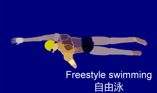 Freestyle swimming.gif
