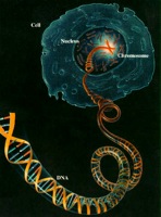 Human Genome Project.jpg