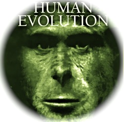Human evolution 2.jpg