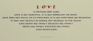 "Love is patient and kind, love is not boastful; it is not arrogant or rude. Love does not insist on its own way; it is not irritable or resentful. It does not rejoice in the wrong, but rejoices in the right. Love bears all things, believes all things, hopes all things, endures all things. Love never ends."