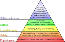 Maslows hierarchy of needs.jpg