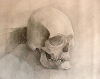 Real Skull by GucalovPavel.jpg
