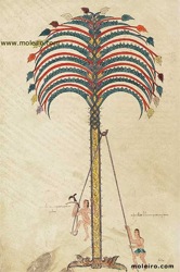 The-metaphor-of-the-palm-tree.jpg